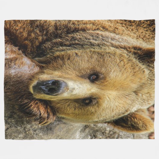 Wild Brown Bear Fleecedecke (Vorderseite (Horizontal))