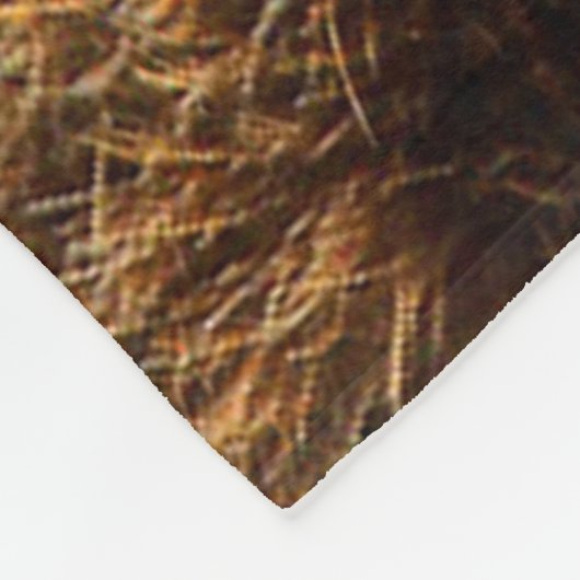 Wild Brown Bear Fleecedecke (Ecke)