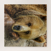 Wild Brown Bear Puzzle (Horizontal)