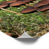 Wild Brown Mushroom Cluster Nature Poster (Ecke)