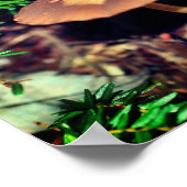 Wild Brown Mushroom Cluster Poster (Ecke)