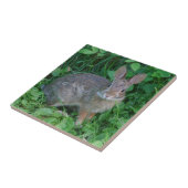 Wild Brown Rabbit Animal Fliese (Seite)