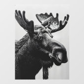 Wild Bull Moose Very Large Shop Fensteraufkleber (Blatt)