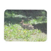 Wild Bunny Flexible Magnet (Horizontal)