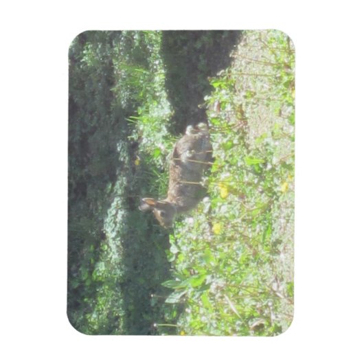 Wild Bunny Flexible Magnet (Vertikal)