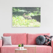 Wild Bunny Foto auf Leinwand (Insitu (Wohnzimmer))