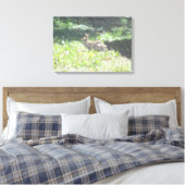 Wild Bunny Foto auf Leinwand (Insitu (Schlafzimmer))