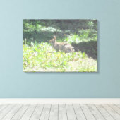 Wild Bunny Foto auf Leinwand (Insitu (Holzboden))