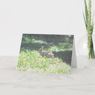 Wild Bunny Greeting Card Karte