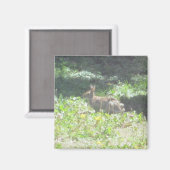 Wild Bunny Magnet (Vorderseite/Rückseite)