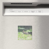 Wild Bunny Magnet (In Situ (Geschirrspüler))
