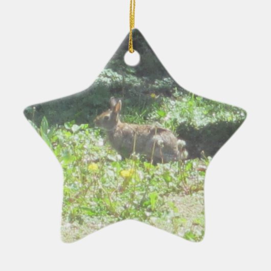 Wild Bunny Ornament (Vorne)