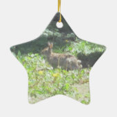Wild Bunny Ornament (Hinten)