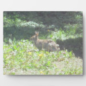 Wild Bunny Plaque Fotoplatte (Vorderseite)