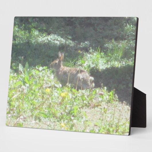 Wild Bunny Plaque Fotoplatte (Seite)