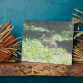 Wild Bunny Plaque Fotoplatte (Seite)