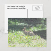 Wild Bunny Postcard Postkarte (Vorne/Hinten)