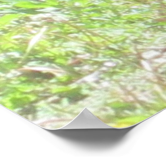 Wild Bunny Print Poster (Ecke)