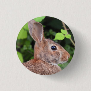 Wild Bunny Rabbit Button