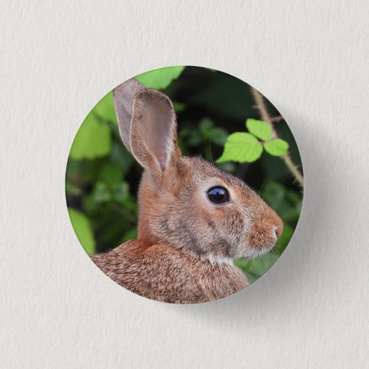 Wild Bunny Rabbit Button (Vorderseite)