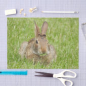 Wild Bunny Rabbit Eating Grass Seidenpapier (Handwerk)