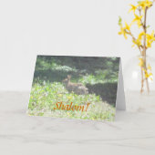 Wild Bunny "Shalom"! Jüdische Grußkarte Karte (Gelbe Blume)