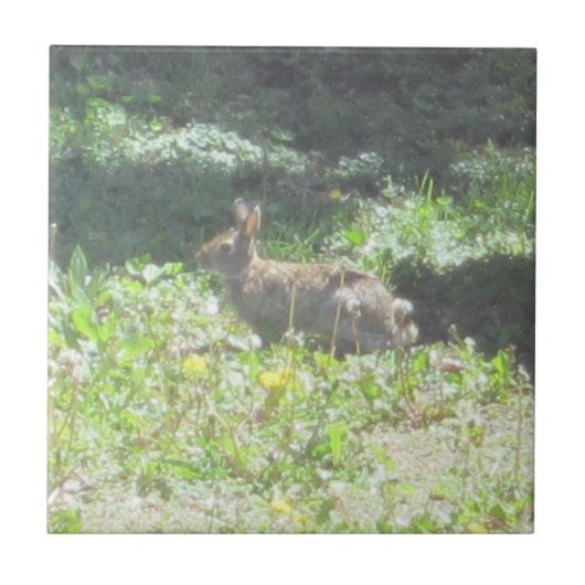 Wild Bunny Tile Fliese (Vorderseite)
