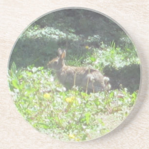 Wild Bunny Untersetzer