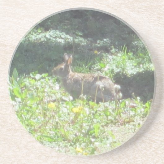 Wild Bunny Untersetzer (Vorne)