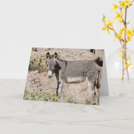 Wild Burro Greeting Karte (Gelbe Blume)