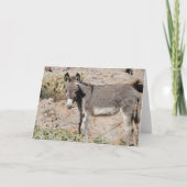 Wild Burro Greeting Karte (Vorderseite)