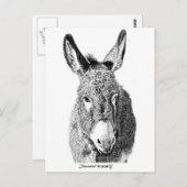 Wild Burro Postkarte (Vorne/Hinten)