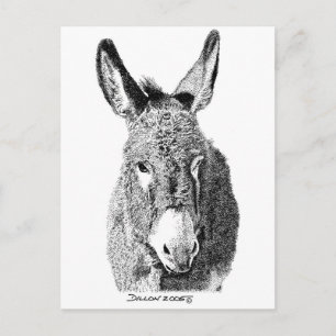 Wild Burro Postkarte