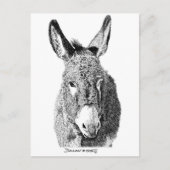 Wild Burro Postkarte (Vorderseite)