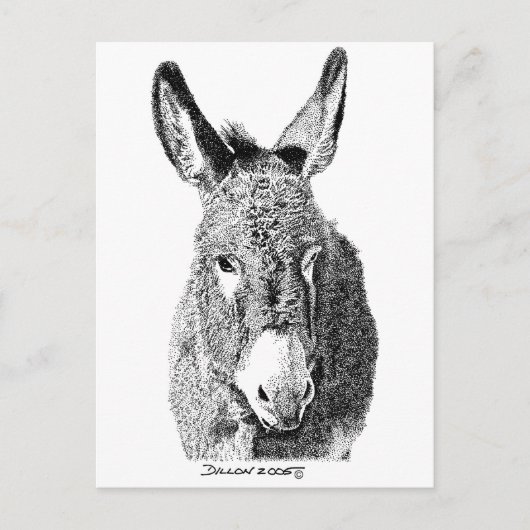 Wild Burro Postkarte (Vorderseite)