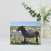 Wild Burros, Custer Staat Park, South Dakota Postkarte (Stehend Vorderseite)