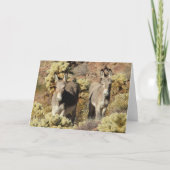 Wild Burros Greeting Karte (Vorderseite)