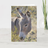 Wild Burros Greeting Karte (Vorderseite)