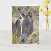 Wild Burros Greeting Karte (Gelbe Blume)