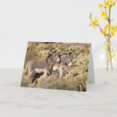 Wild Burros Greeting Karte (Gelbe Blume)