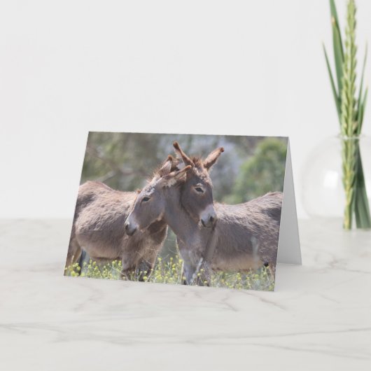 Wild Burros Greeting Karte (Vorderseite)