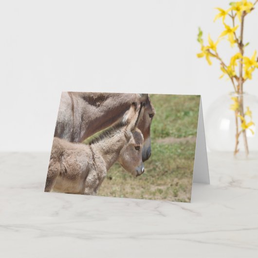 Wild Burros Greeting Karte (Gelbe Blume)
