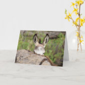 Wild Burros Greeting Karte (Gelbe Blume)
