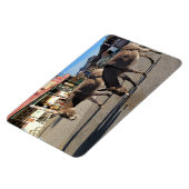 Wild Burros in Oatman, Arizona Magnet (Linke Seite)