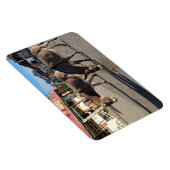 Wild Burros in Oatman, Arizona Magnet (Rechte Seite)