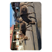 Wild Burros in Oatman, Arizona Magnet (Vertikal)