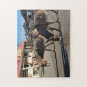 Wild Burros in Oatman, Arizona Puzzle (Vertikal)