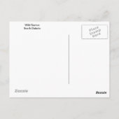 Wild Burros South Dakota Postkarte (Rückseite)