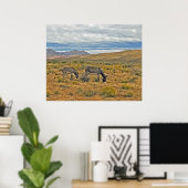 Wild Burros von Red Rock Canyon Poster (Heimbüro)
