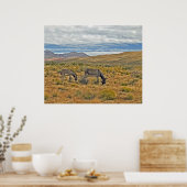 Wild Burros von Red Rock Canyon Poster (Küche)